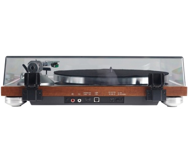 Teac TN-350-WA walnuss
