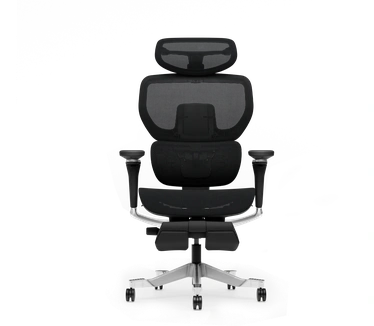 FlexiSpot Ergonomische bureaustoel C7 Morpher, Mesh, met voetensteun, M