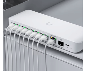 Ubiquiti Flex 2.5G