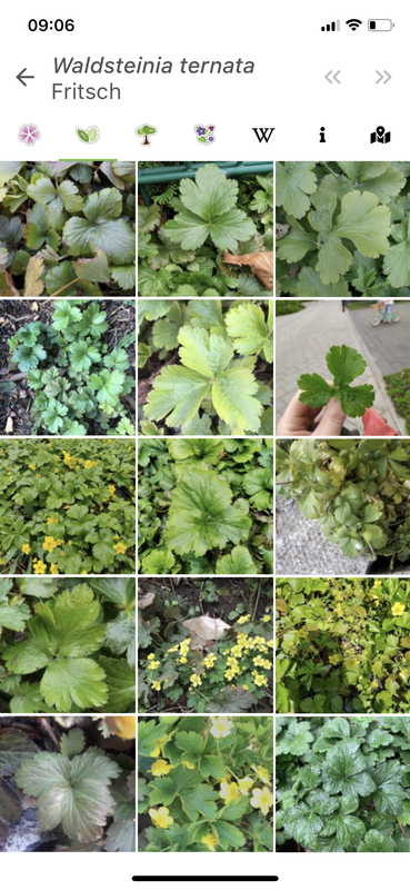 Afbeeldingslocatie: https://tweakers.net/i/KLhoX-OuoxCU96avuj0F9zGYNV4=/x800/filters:strip_exif()/f/image/WasSeTJUmXOC2EmMZpooOcMw.png?f=fotoalbum_large