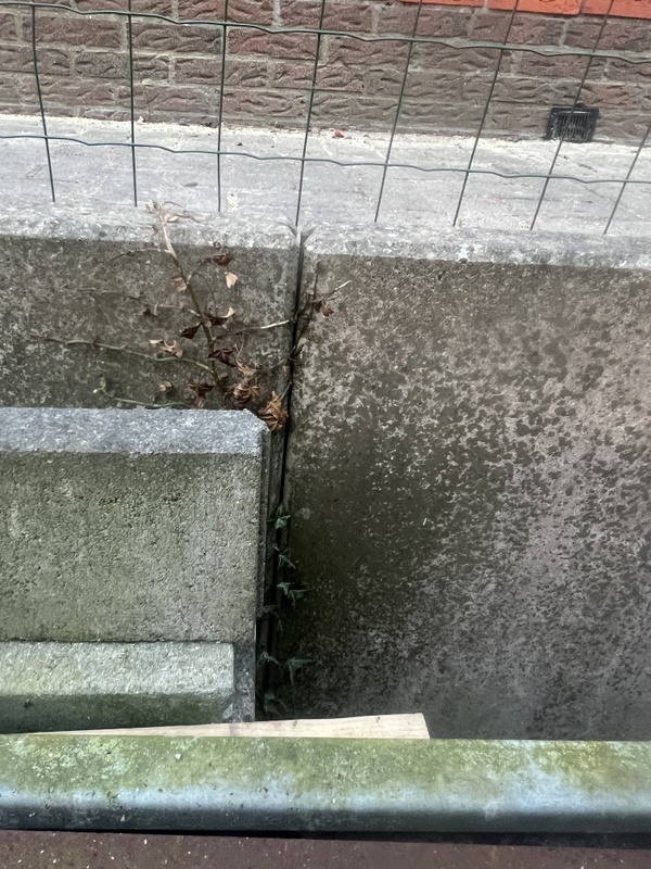 Afbeeldingslocatie: https://tweakers.net/i/KLu-ZKdJJYMe0qW_86liCZPVswA=/x800/filters:strip_icc():strip_exif()/f/image/DTfhulc64Ugf0Br5IyokAMVg.jpg?f=fotoalbum_large