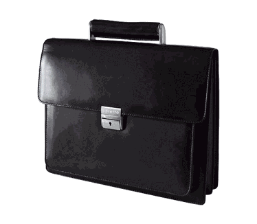Toshiba Premium Case (15.4", Leer, Zwart)