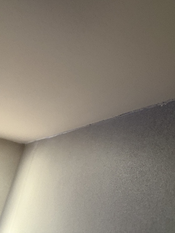 Afbeeldingslocatie: https://tweakers.net/i/KNeL3OgbqBSN961cRl9z4a7_WL0=/x800/filters:strip_icc():strip_exif()/f/image/RyJneAKXveURbGYgW030YrXF.jpg?f=fotoalbum_large