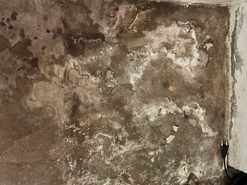 Afbeeldingslocatie: https://tweakers.net/i/KO-uIls02264RzNY7x8EsnBou0o=/800x/filters:strip_icc():strip_exif()/f/image/wPfcdaQtdRxEXSD64GTTydmk.jpg?f=fotoalbum_large