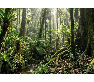 HP OmniBook 7 Laptop Next Gen AI 16-bh0001nbx