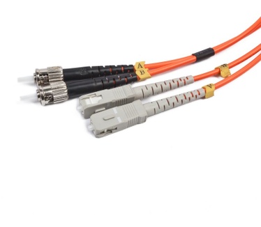 Iggual IGG311479