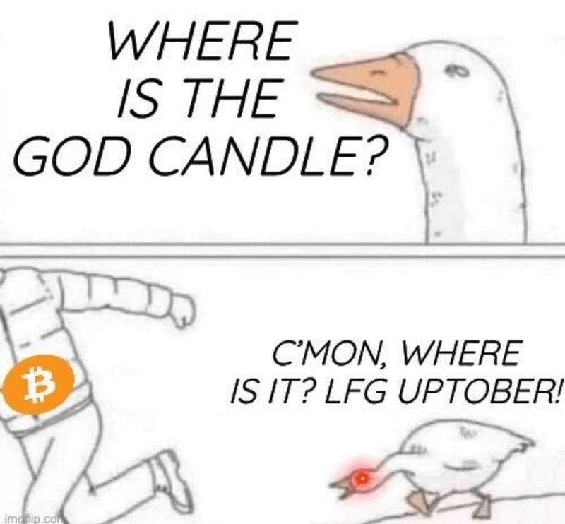 Afbeeldingslocatie: https://tweakers.net/i/KSke9v_ekFKLGII5kAqUjJFRgkA=/800x/filters:strip_exif()/f/image/HPTefT86VotlVHNKQQRBCQzD.png?f=fotoalbum_large