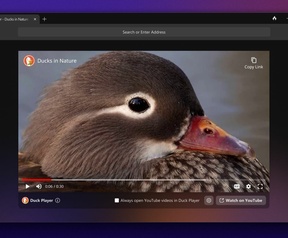 DuckDuckGo Browser Windows