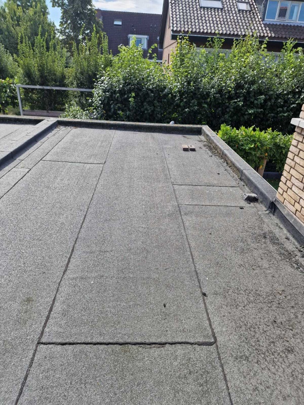 Afbeeldingslocatie: https://tweakers.net/i/KZ-_Y8nON5AEVkPWi4fWsTq2AEY=/x800/filters:strip_icc():strip_exif()/f/image/j3jl2wj4MQqfdnluHexTsmX5.jpg?f=fotoalbum_large