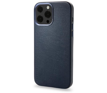 Decoded D22IPO61PBC6MNY