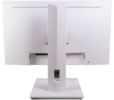 Ernitec 0070-24124-F-W