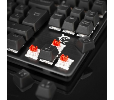 White Shark Spartan X (Cherry Red, US)