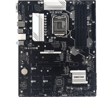 Biostar TZ590-BTC