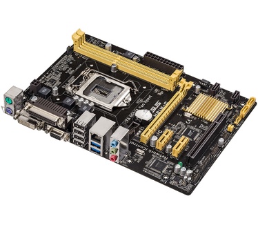 Asus H81M-C/CSM