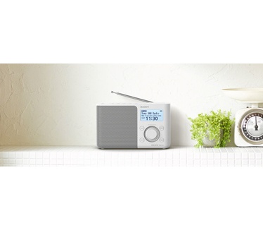 Sony XDR-S61D Wit