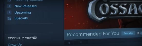 Steam Store