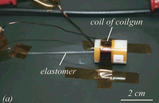 Op kameleontong geïnspireerde robot-actuator