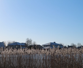 Bewerkt en onbewerkt