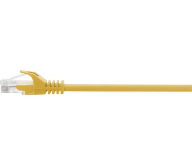 Renkforce RF-5224648