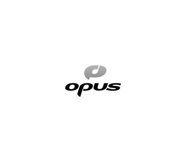 Opus audio codec