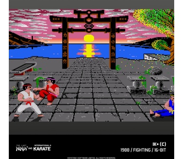 The Last Ninja & IK Collection