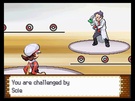 Pokémon HeartGold & SoulSilver