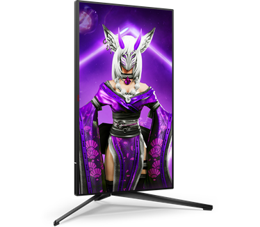 AOC AGON AG254FG Zwart