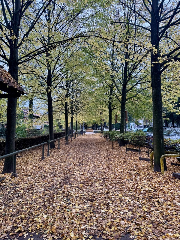 Afbeeldingslocatie: https://tweakers.net/i/Ktve8pd9fm7tFbeObPzpojRkudI=/x800/filters:strip_icc():strip_exif()/f/image/7NrASI68GsYqQc9GWkdLpkTF.jpg?f=fotoalbum_large