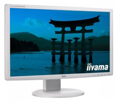 Iiyama B2409HDS-W1