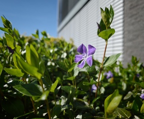 Leica Vibrant (links) en Leica Authentic