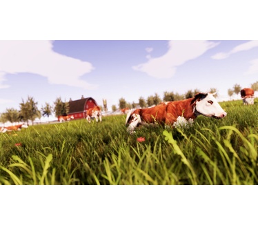 Real Farm, Windows