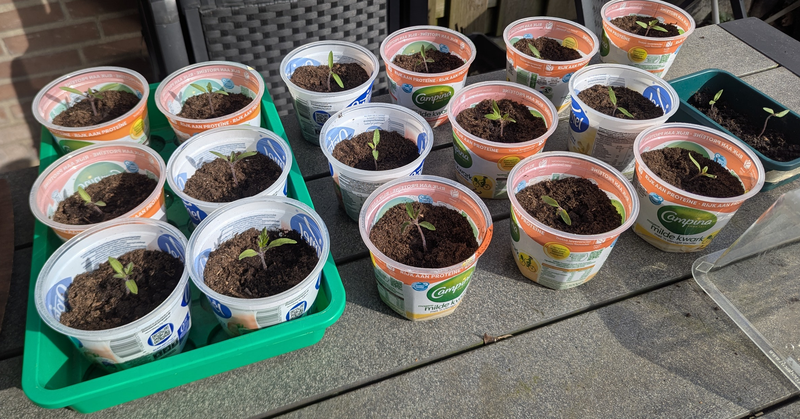 Afbeeldingslocatie: https://tweakers.net/i/L38Mmy0HeLkGLSlmVpjOK57pjX4=/800x/filters:strip_exif()/f/image/6re3Un9cjuH1L0deCSNbDxDn.png?f=fotoalbum_large