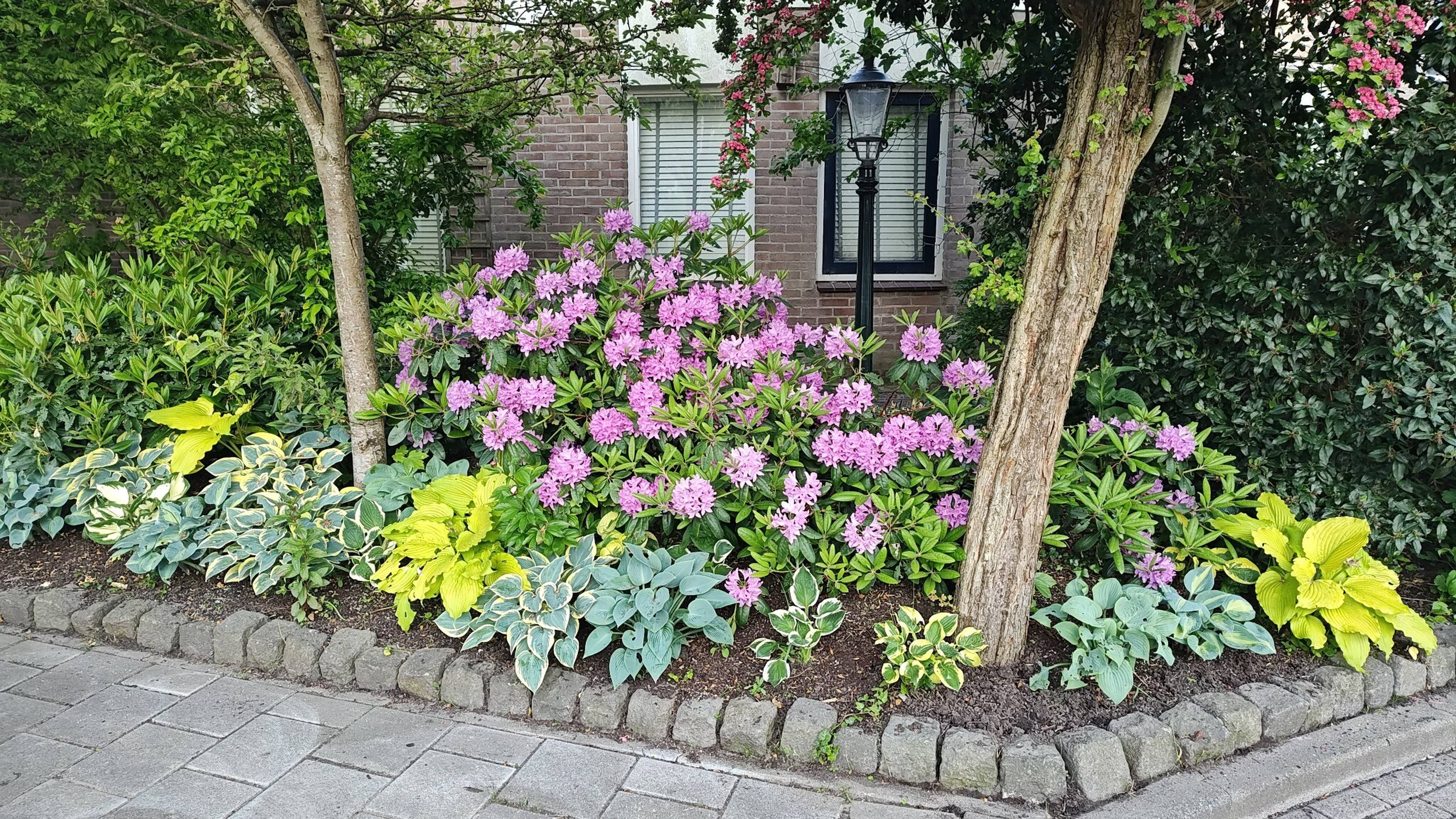 Afbeeldingslocatie: https://tweakers.net/i/L44NVrBYYM9PT2Zcs2L4PkKM3gs=/full-fit-in/4920x3264/filters:max_bytes(3145728):no_upscale():strip_icc():fill(white):strip_exif()/f/image/pna9eWtuxKueAS6EfshJYwMh.jpg?f=user_large