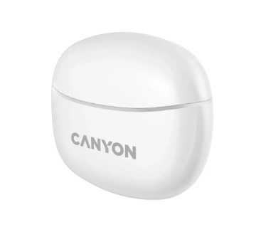Canyon CNS-TWS5W