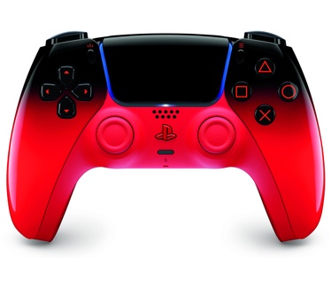 Sony Computer Entertainment DualSense