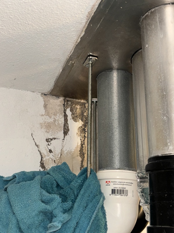 Afbeeldingslocatie: https://tweakers.net/i/LARiw3cB_XdnLOMd72kjjFDerFE=/x800/filters:strip_icc():strip_exif()/f/image/XDVKXpsiQgoC3Sxm9bLLPw1R.jpg?f=fotoalbum_large