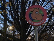 OnePlus 15 cameratest - 2x zoom