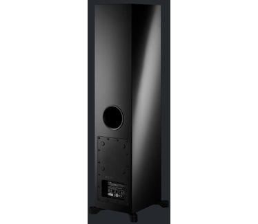 Dynaudio Xeo 30