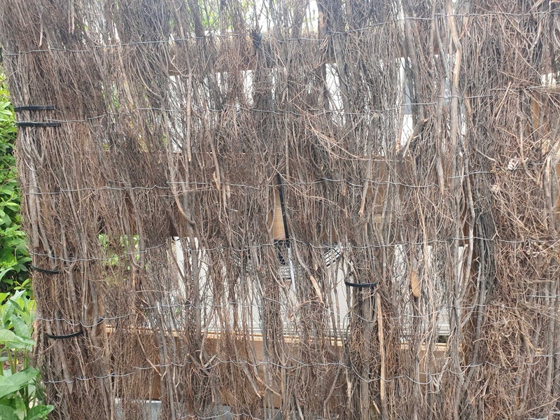 Afbeeldingslocatie: https://tweakers.net/i/LCmKOstJFGNiqPEgOZQn2CzlodQ=/800x/filters:strip_icc():strip_exif()/f/image/K63N4qDqhDLJLMdeugZlIFmn.jpg?f=fotoalbum_large