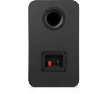 Teufel Ultima 25 ACTIVE Club Edition - Zwart