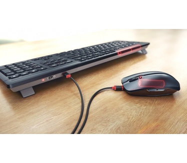 Cherry Stream Desktop Recharge