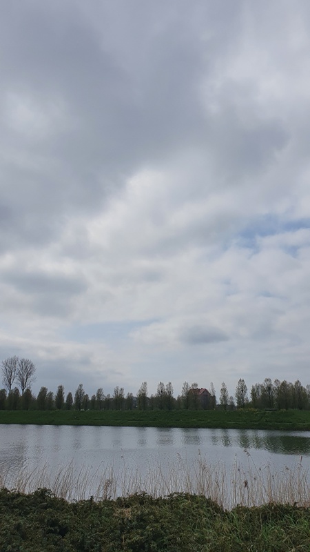 Afbeeldingslocatie: https://tweakers.net/i/LFXlEkIeaS-YBTRRdqHobRjutY8=/x800/filters:strip_icc():strip_exif()/f/image/WgLSpdzDsYWXe7panDjpmkIW.jpg?f=fotoalbum_large