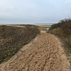 Afbeeldingslocatie: https://tweakers.net/i/LFlHZB16AHif8j4afuse0HnydBY=/232x232/filters:strip_icc():strip_exif()/f/image/nuCxu77xlsTOfXYAk0riVvHN.jpg?f=fotoalbum_tile