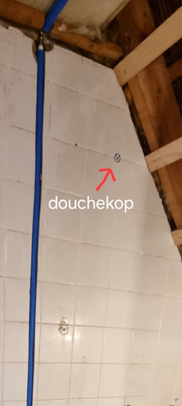 Afbeeldingslocatie: https://tweakers.net/i/LGK7gJ-TmqvHoN61xPQSMnjE6EU=/x800/filters:strip_icc():strip_exif()/f/image/PhO2qvETdppVMCKeCSGMVqpq.jpg?f=fotoalbum_large