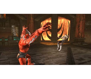Mortal Kombat - Armageddon, Wii