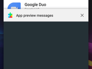 Google Duo