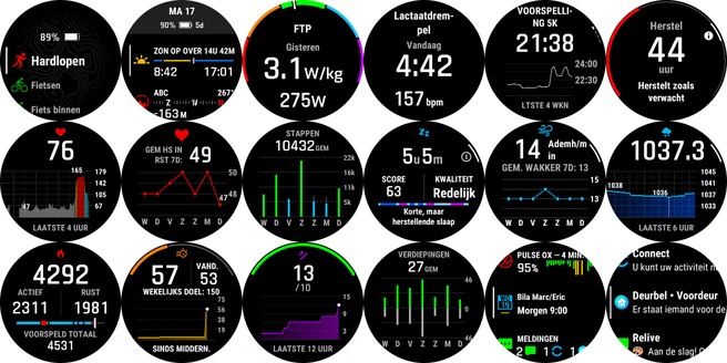 Voorbeelden van de interface en menu's van de Gemin epix