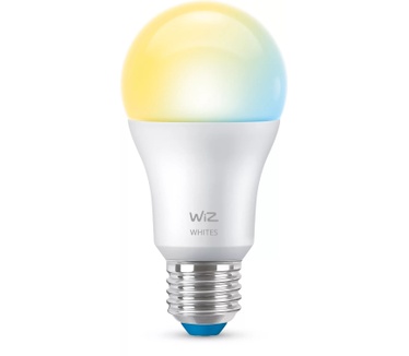WiZ Lamp A60 E27 x1