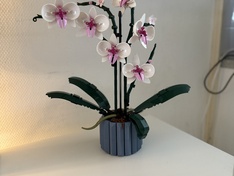 Afbeeldingslocatie: https://tweakers.net/i/LNCV0oL1g-ZYzoS6kx5Pbpbhmko=/234x176/filters:strip_icc():strip_exif()/f/image/OTwLzNu6fxVMtwFZovIDdMVZ.jpg?f=fotoalbum_medium