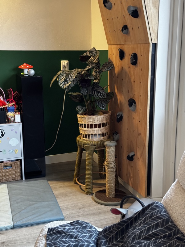 Afbeeldingslocatie: https://tweakers.net/i/LQB112tW0vlGZcoZ2uUppyctWjs=/x800/filters:strip_icc():strip_exif()/f/image/r7LjLAaNQTcRb63dzgbVyj12.jpg?f=fotoalbum_large